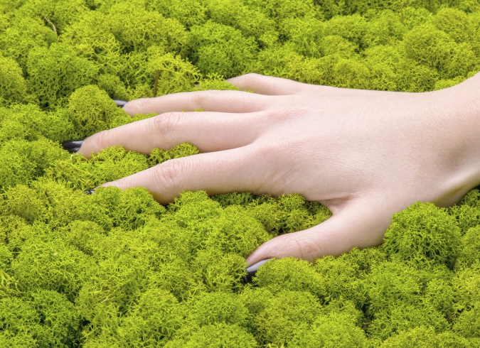 Packshot zdjęcie na białym tle Snapshot Studio Rybnik Katowice